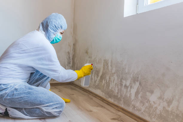 Commercial Mold Remediation assessment for commercial property in Oldsmar