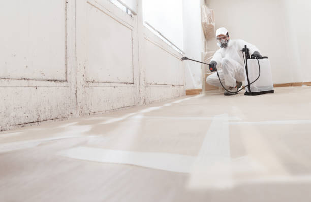 Post-remediation clearance in Oldsmar